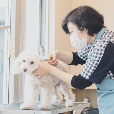 陶のまちどうぶつ病院