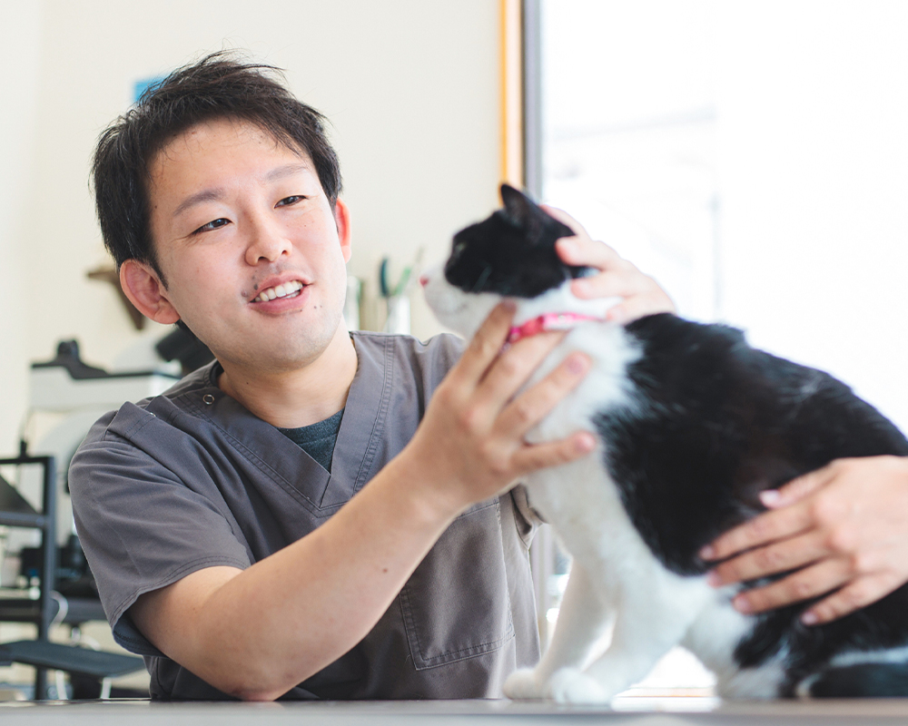 伊藤 卓哉 TAKUYA ITO
