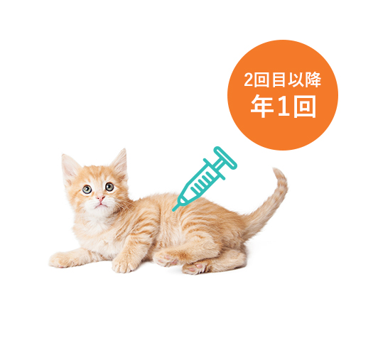 ワクチン接種のタイミング