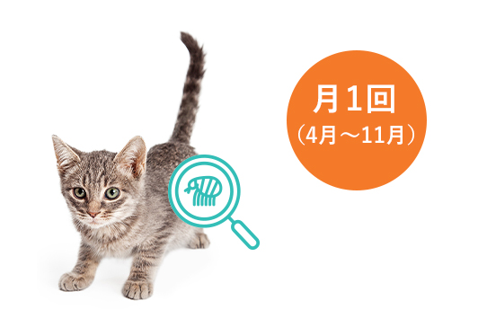 投与のタイミング