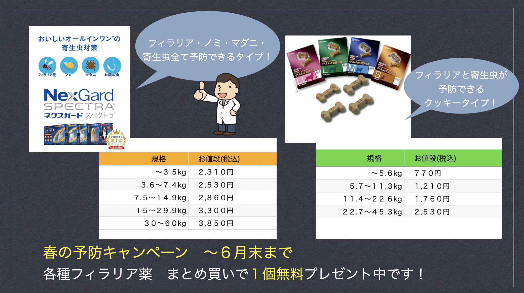 ノミ ダニ フィラリア予防について 陶のまち動物病院 愛知県瀬戸市で犬 猫 小動物の怪我や皮膚病 消化器 腫瘍疾患などの診療 予防接種などの予防医療を行う動物病院です ノミ ダニ フィラリア予防について 陶のまち動物病院 愛知県瀬戸市で犬 猫 小動物の怪我や皮膚病 消化器 腫瘍疾患などの診療 予防接種などの予防医療を行う動物病院です