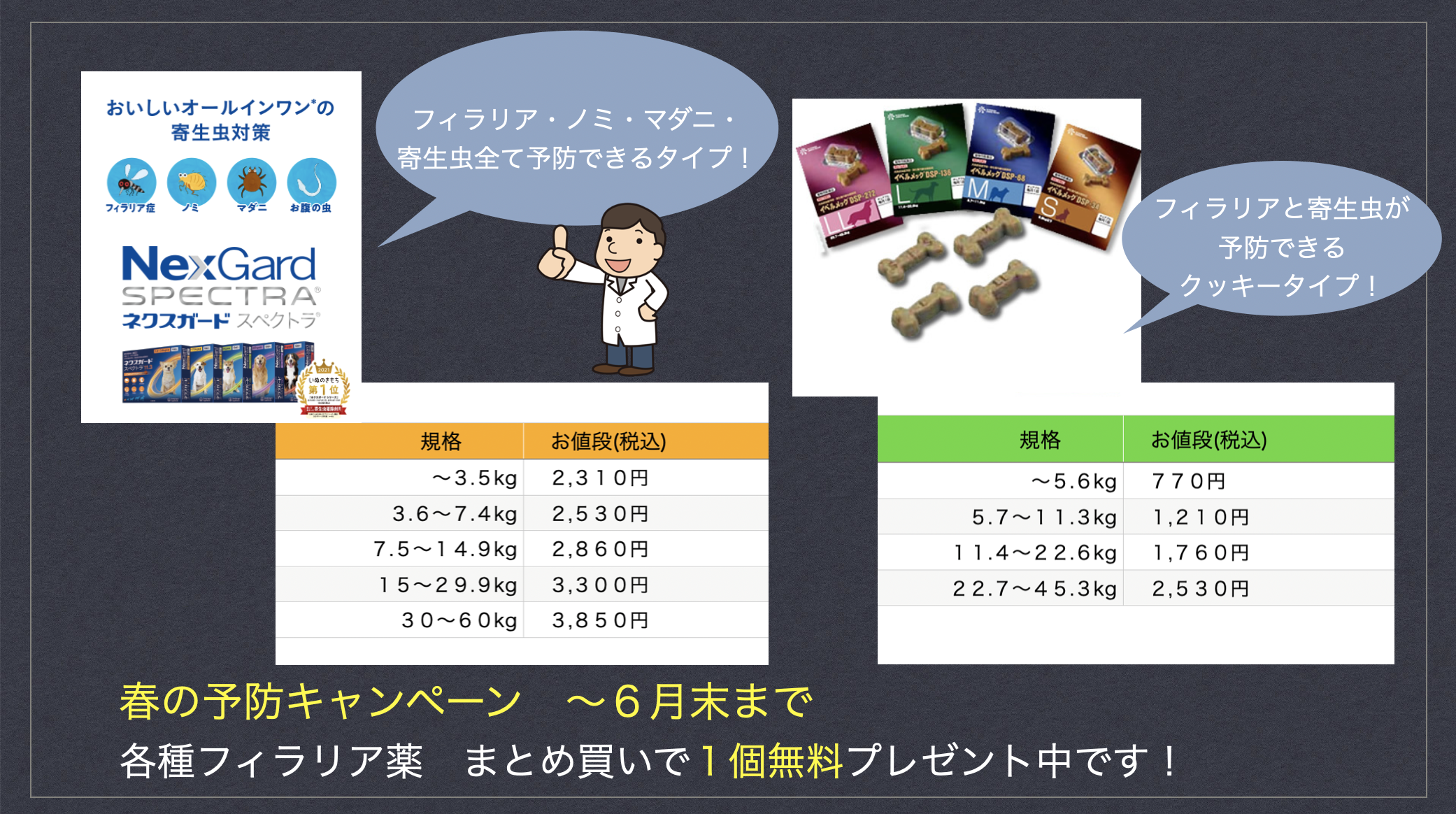 ノミ ダニ フィラリア予防について 陶のまち動物病院 愛知県瀬戸市で犬 猫 小動物の怪我や皮膚病 消化器 腫瘍疾患などの診療 予防接種などの予防医療を行う動物病院です